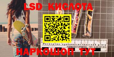 крисы Донской