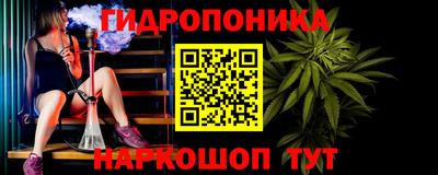 крисы Донской