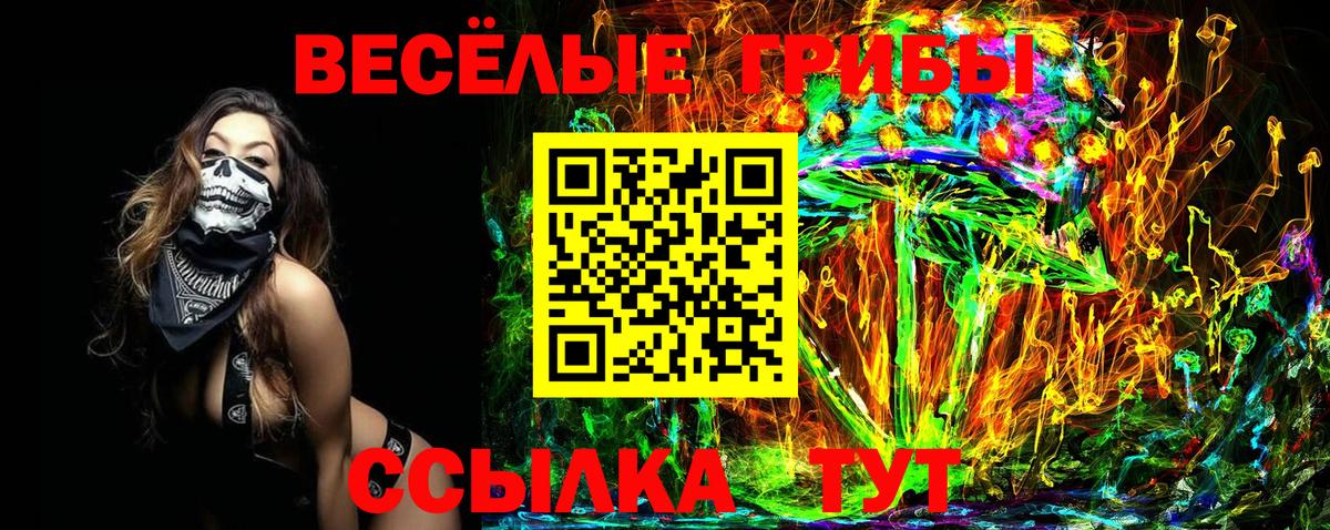 где можно купить   Вход с VPN  Галлюциногенные грибы прущие грибы  Миасс  Псилоцибиновые грибы прущие грибы 